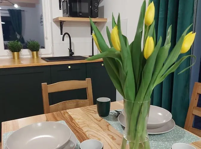 Na Stoku 度假居 *