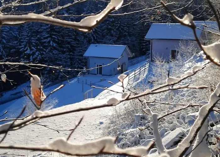 度假居 Na Stoku 维斯拉