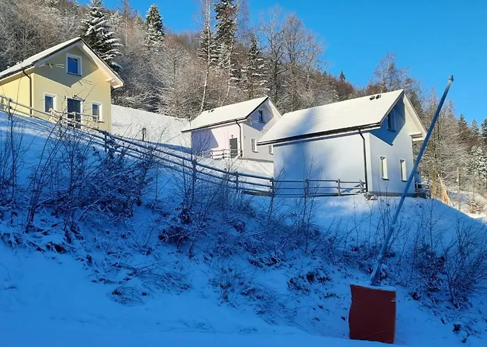 Na Stoku * 维斯拉