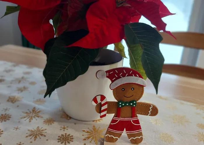 度假居 Na Stoku *